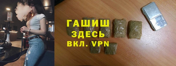 молекула духа Ладушкин