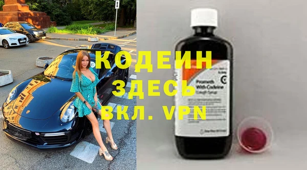 молекула духа Лабытнанги