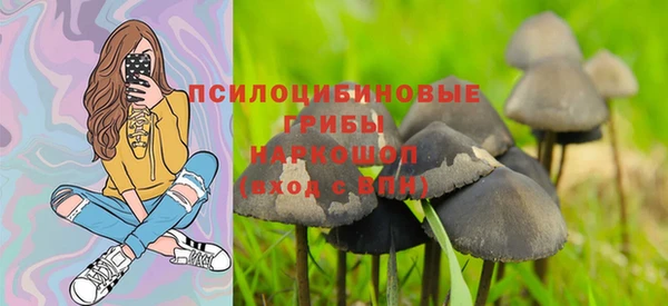 молекула духа Ладушкин