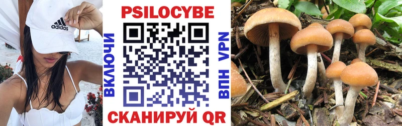 ОМГ ОМГ вход Кисловодск Псилоцибиновые грибы Psilocybine cubensis что такое наркотик