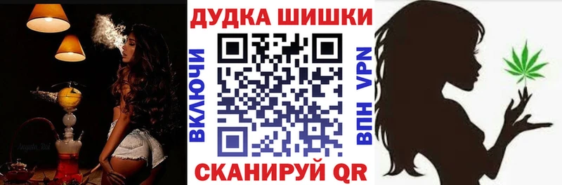 Марихуана сатива  ссылка на мегу сайт  Кисловодск 
